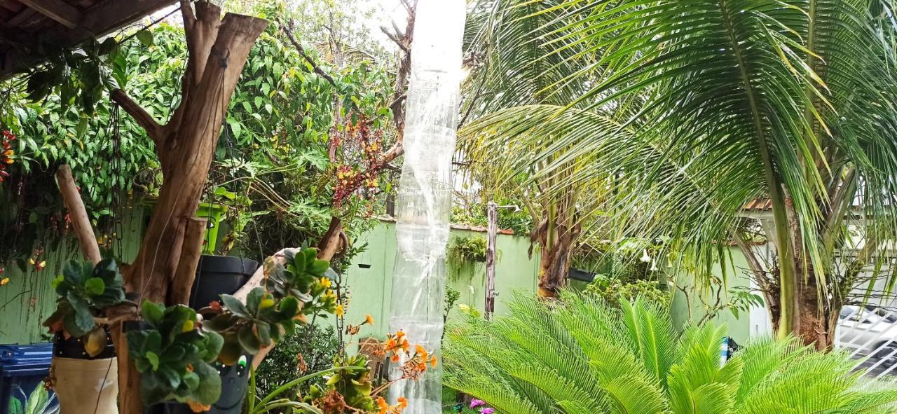 Paraiso Aconchegante Casa Espacosa E Muito Verde Caraguatatuba Exterior foto